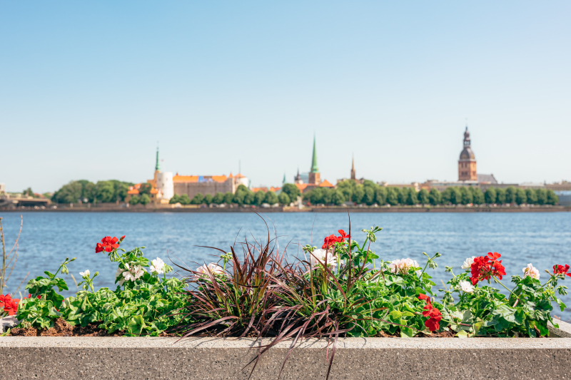 image image - 2025-11-26T133207.773.jpg